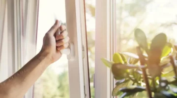 فيروسات الشتاء كيفية الوقاية اليومية في البيت والعمل بخطوة بسيطة وفعالة 1